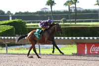 Awesome Feather (FL)-2 Year Old Filly of the Year-2010